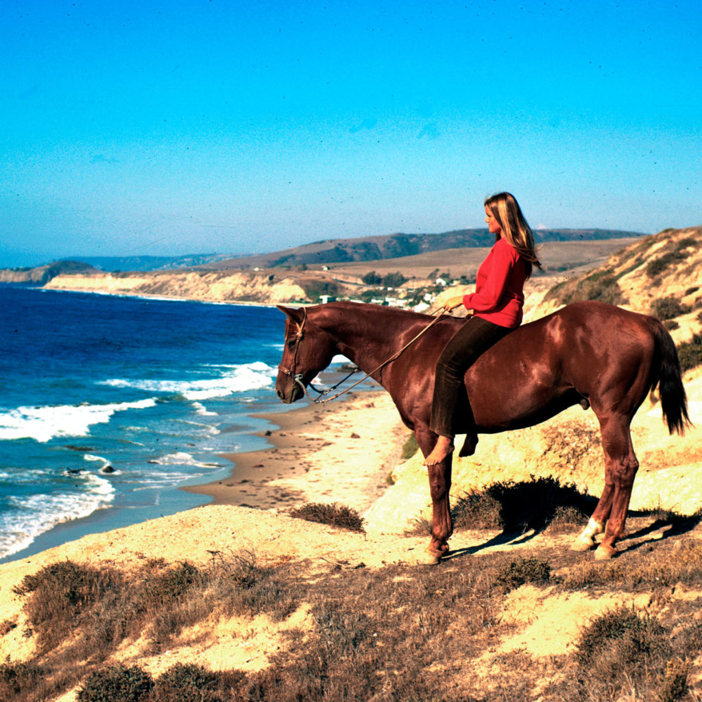Crystal Cove State Park Horse and Rider overlooking Pacific Ocean