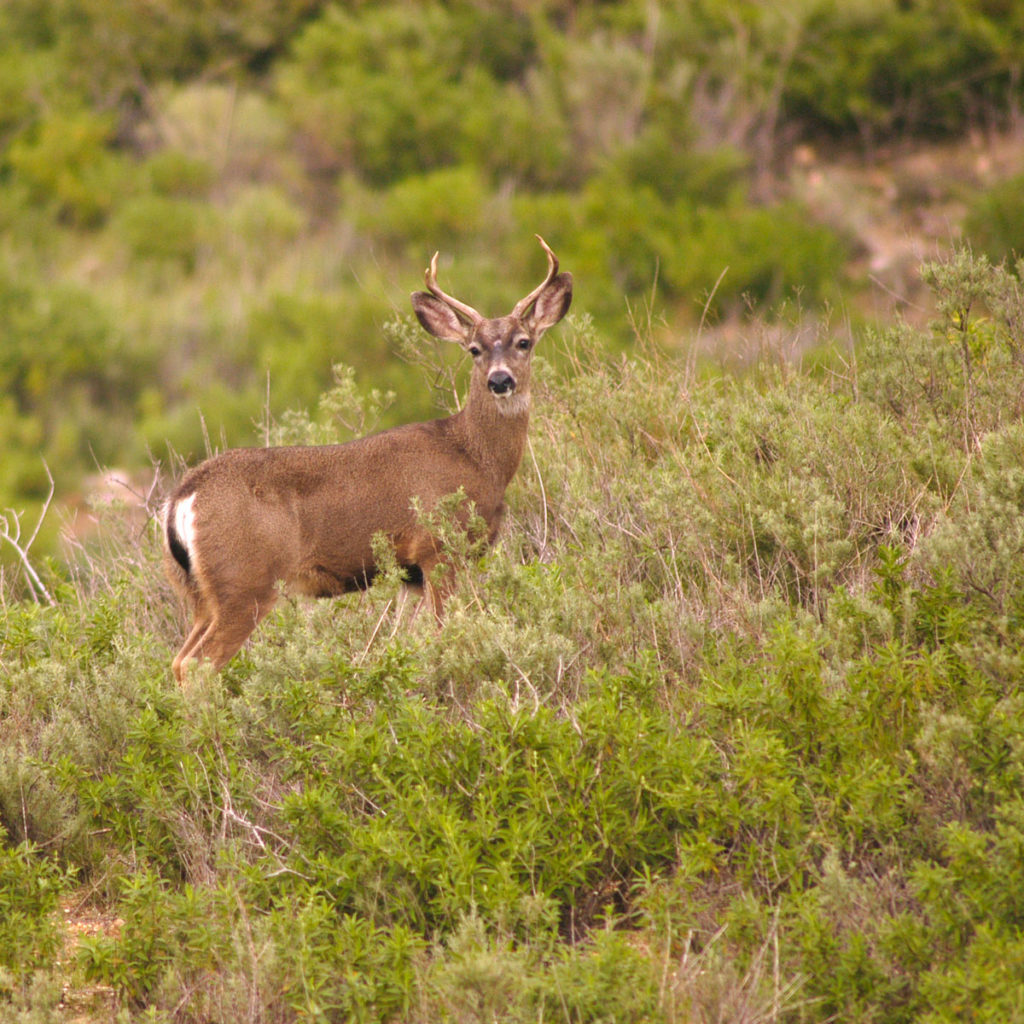 Nature Reserve of Orange County