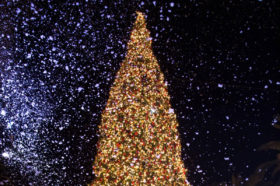 Fashion Island Tree Lighting Ceremony