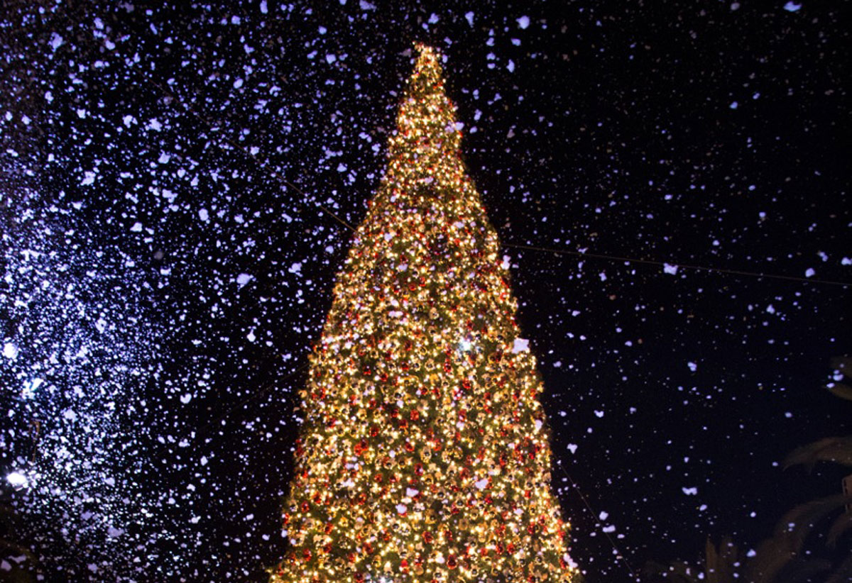 Fashion Island Tree Lighting Ceremony